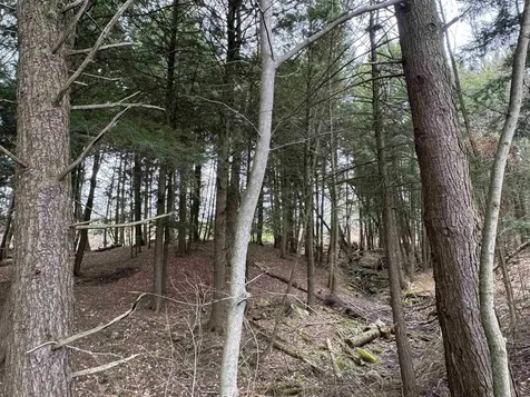 69 Missionary Acres Drive Derby VT 05829