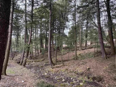 69 Missionary Acres Drive Derby VT 05829