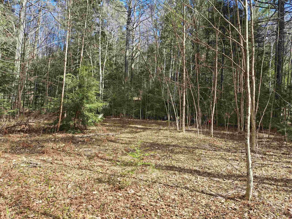 184 Brock Hill Road Orange NH 03741