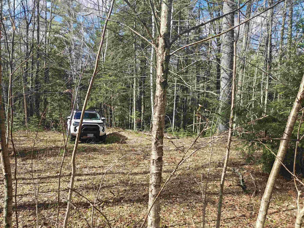 184 Brock Hill Road Orange NH 03741