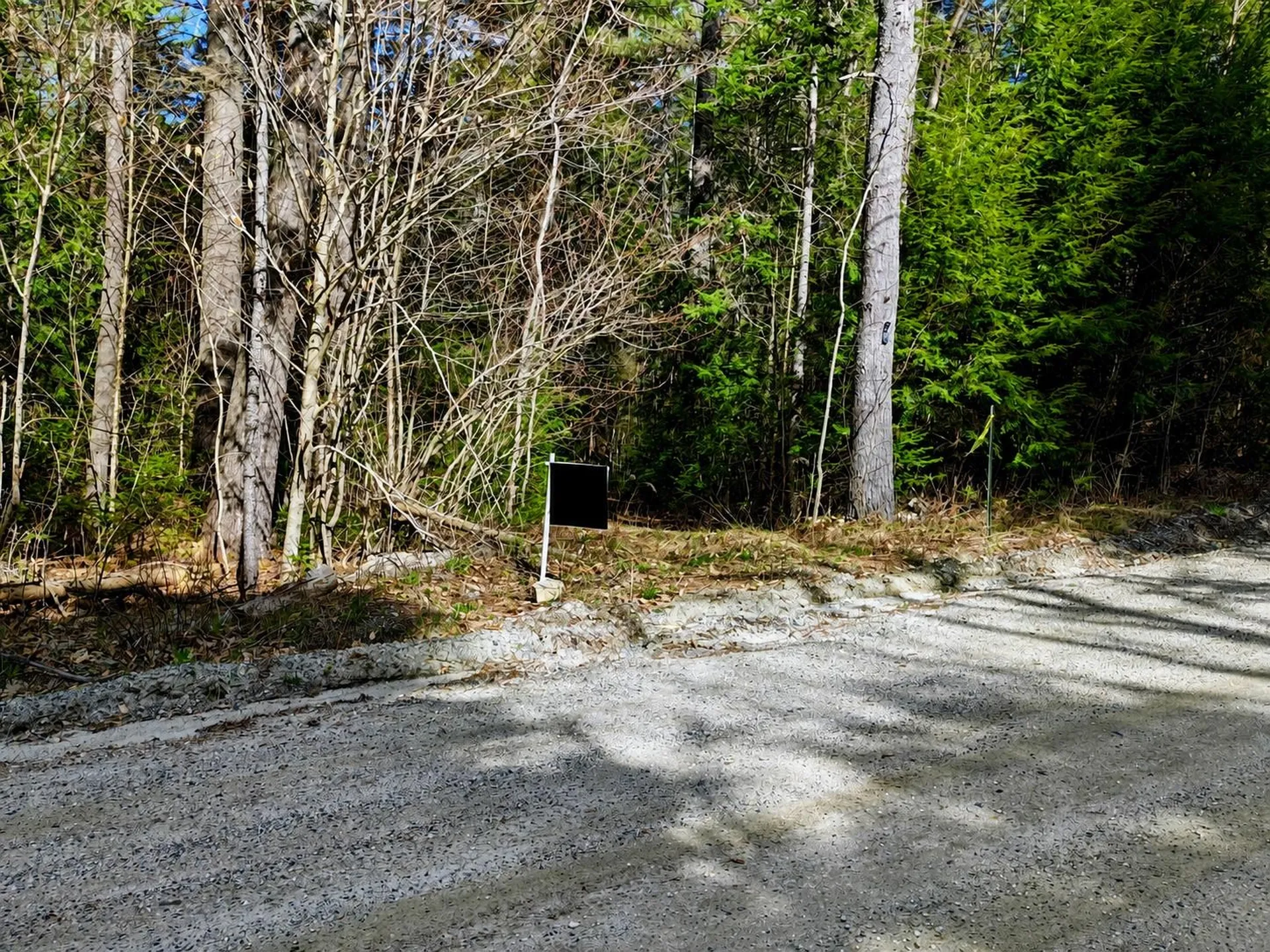 184 Brock Hill Road Orange NH 03741