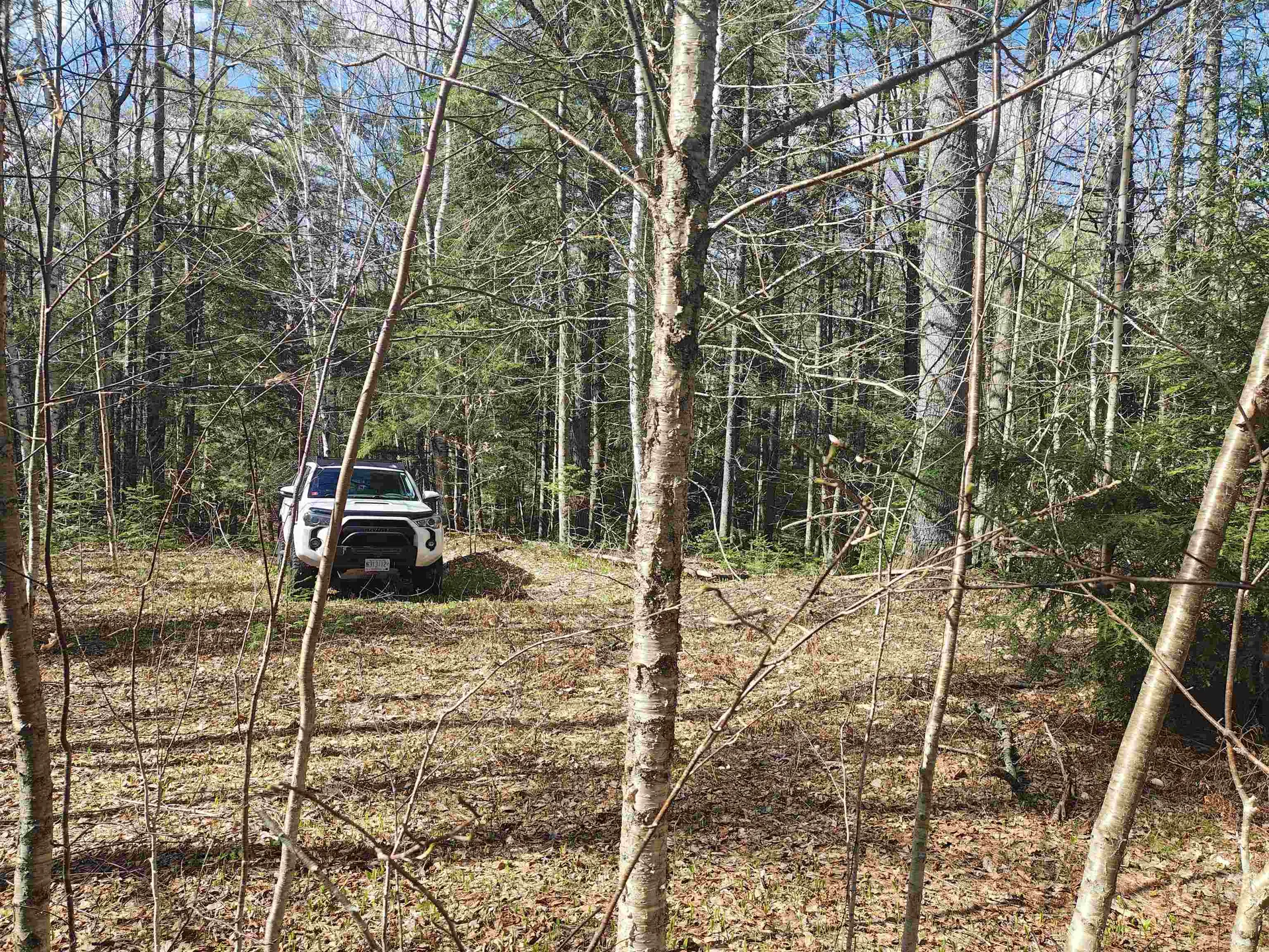 184 Brock Hill Road Orange NH 03741