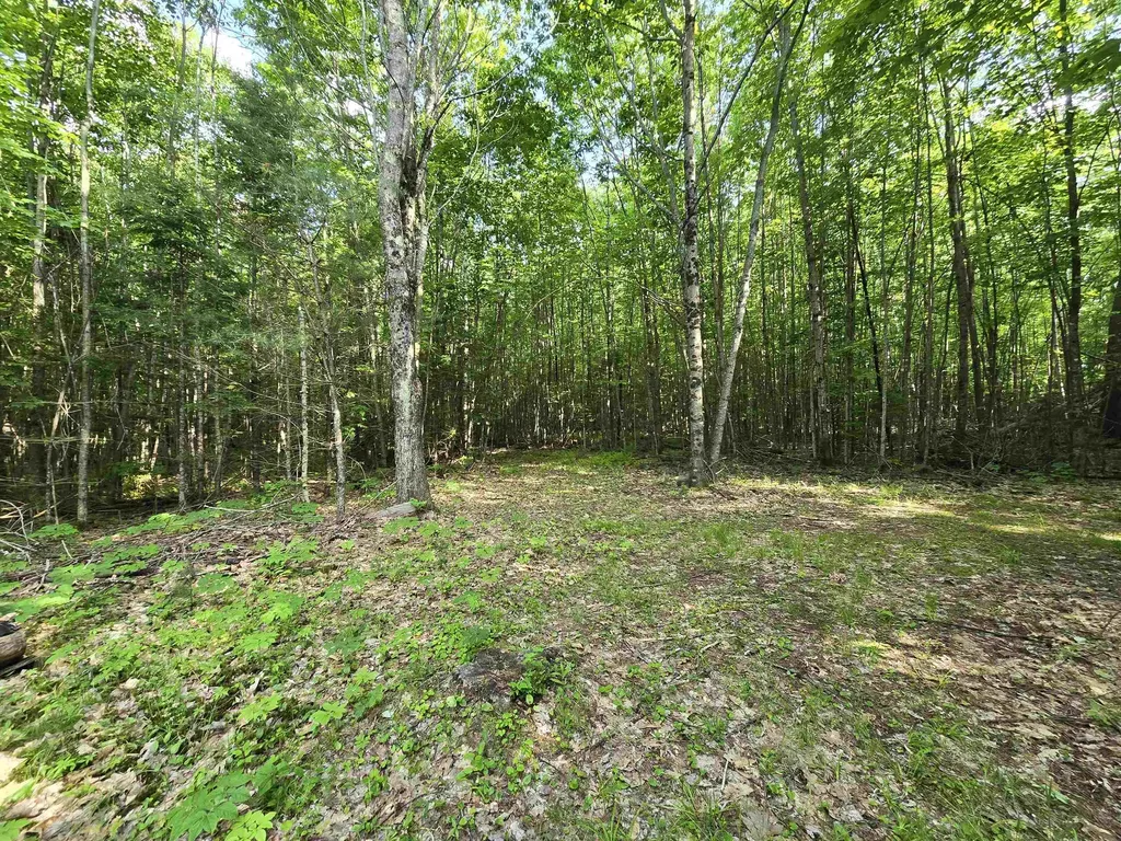 882 Morse Road Haverhill NH 03774