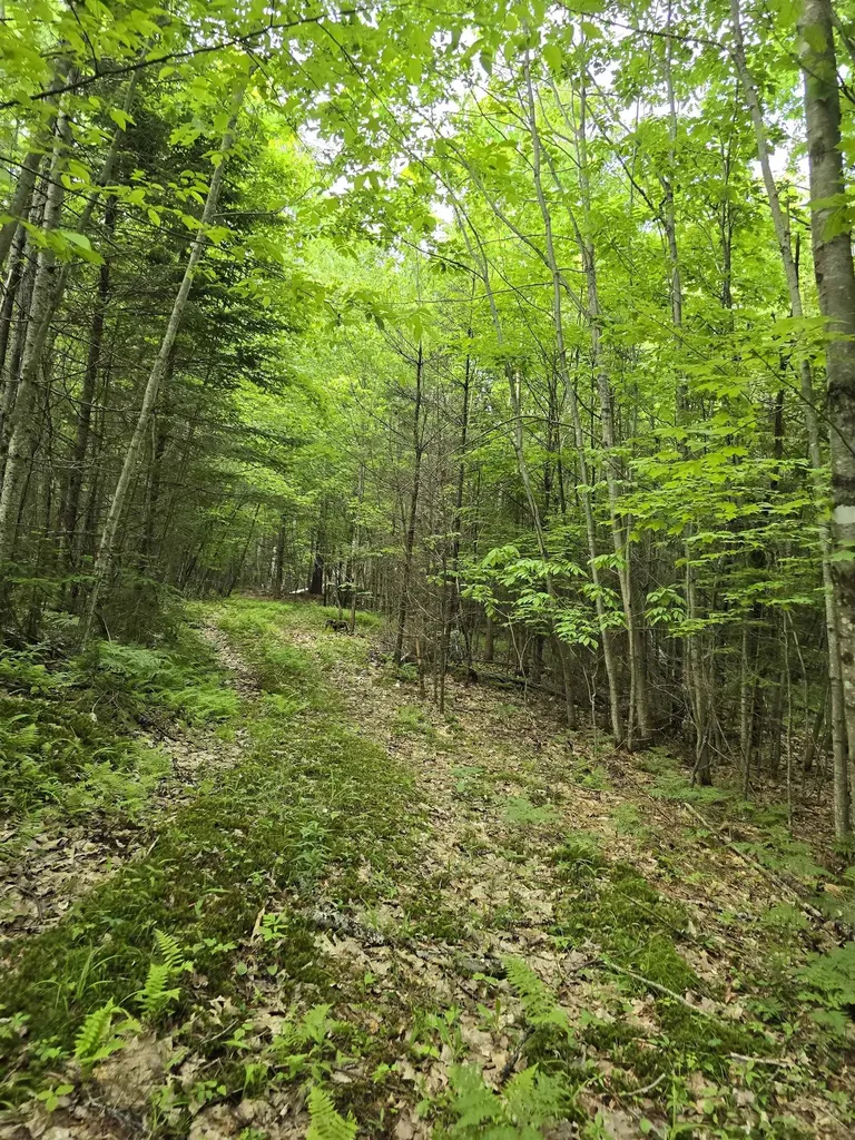 882 Morse Road Haverhill NH 03774