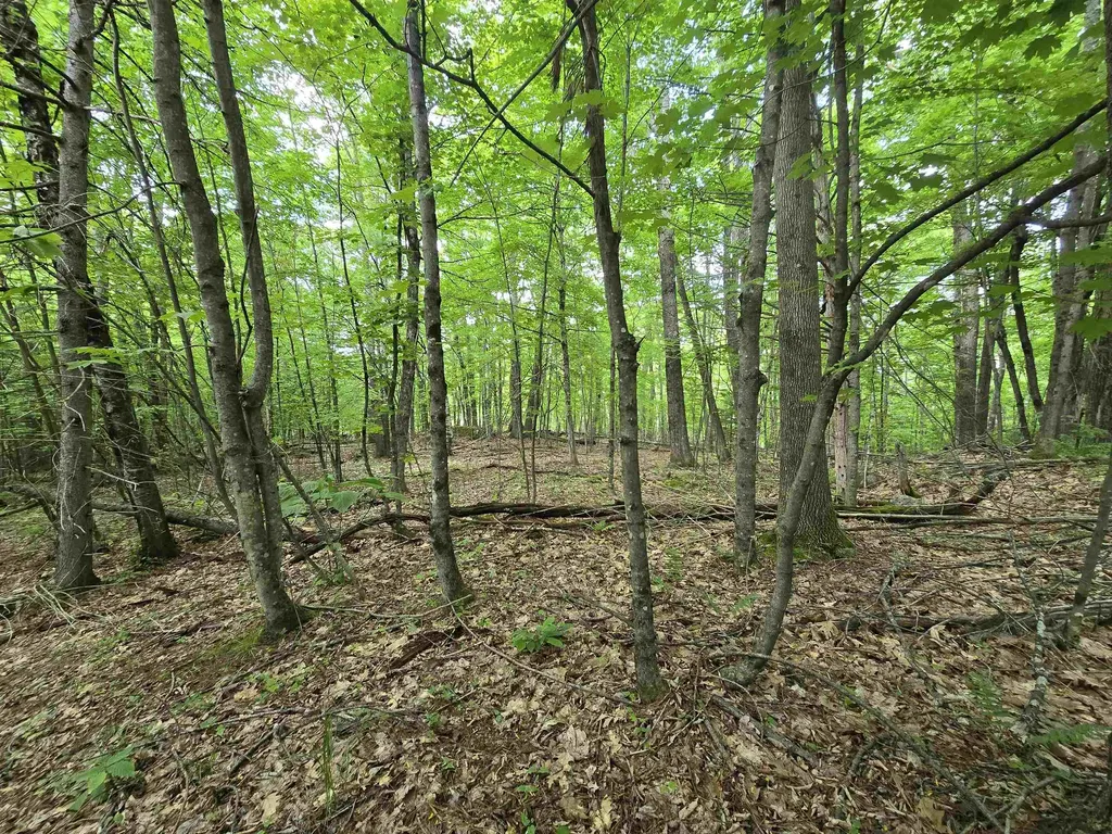 882 Morse Road Haverhill NH 03774