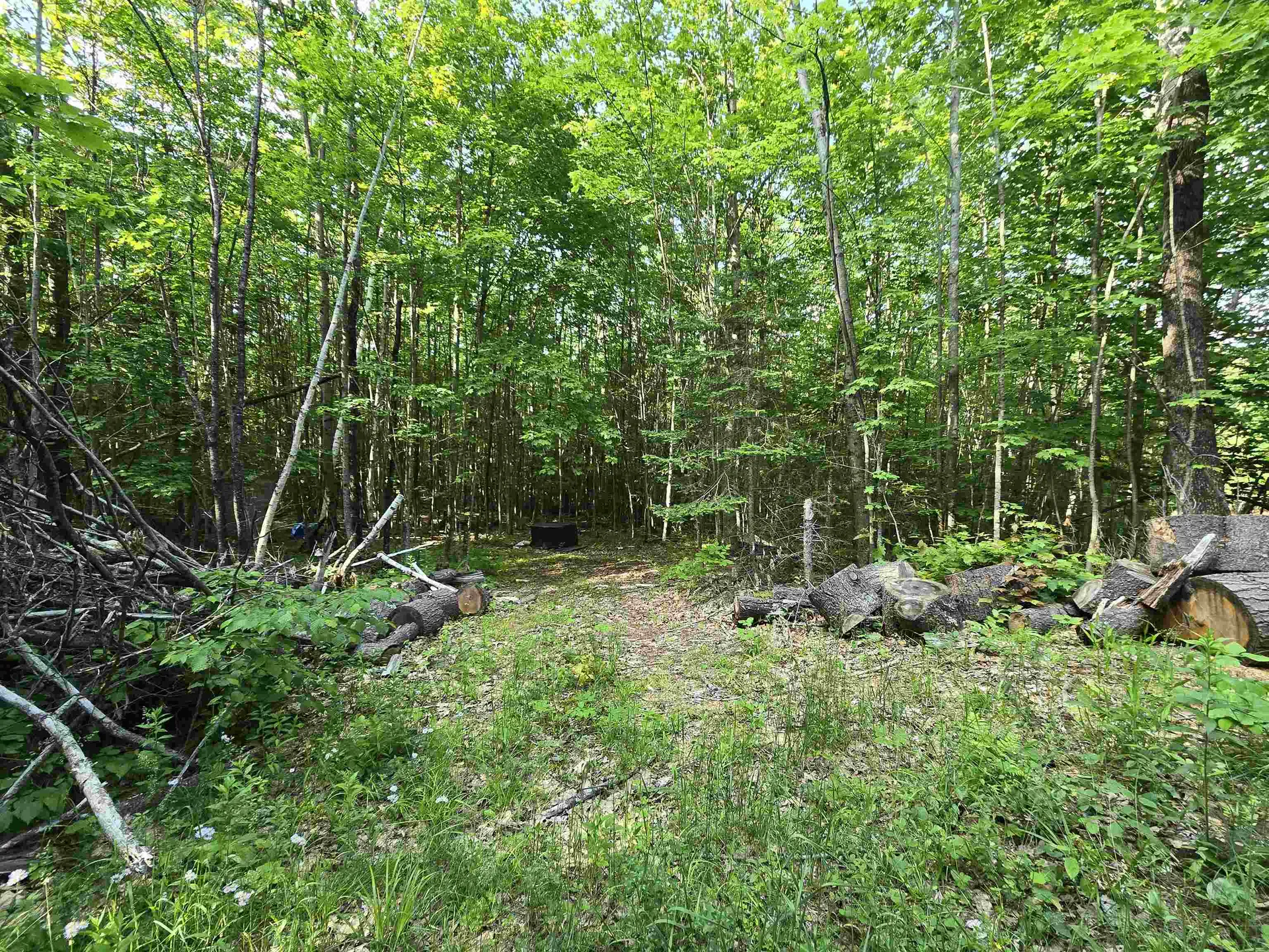 882 Morse Road Haverhill NH 03774
