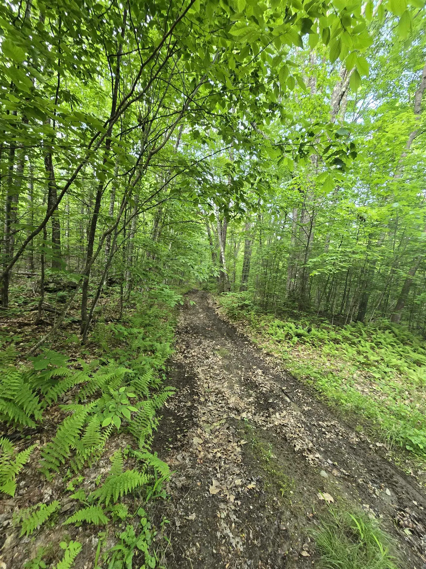 882 Morse Road Haverhill NH 03774