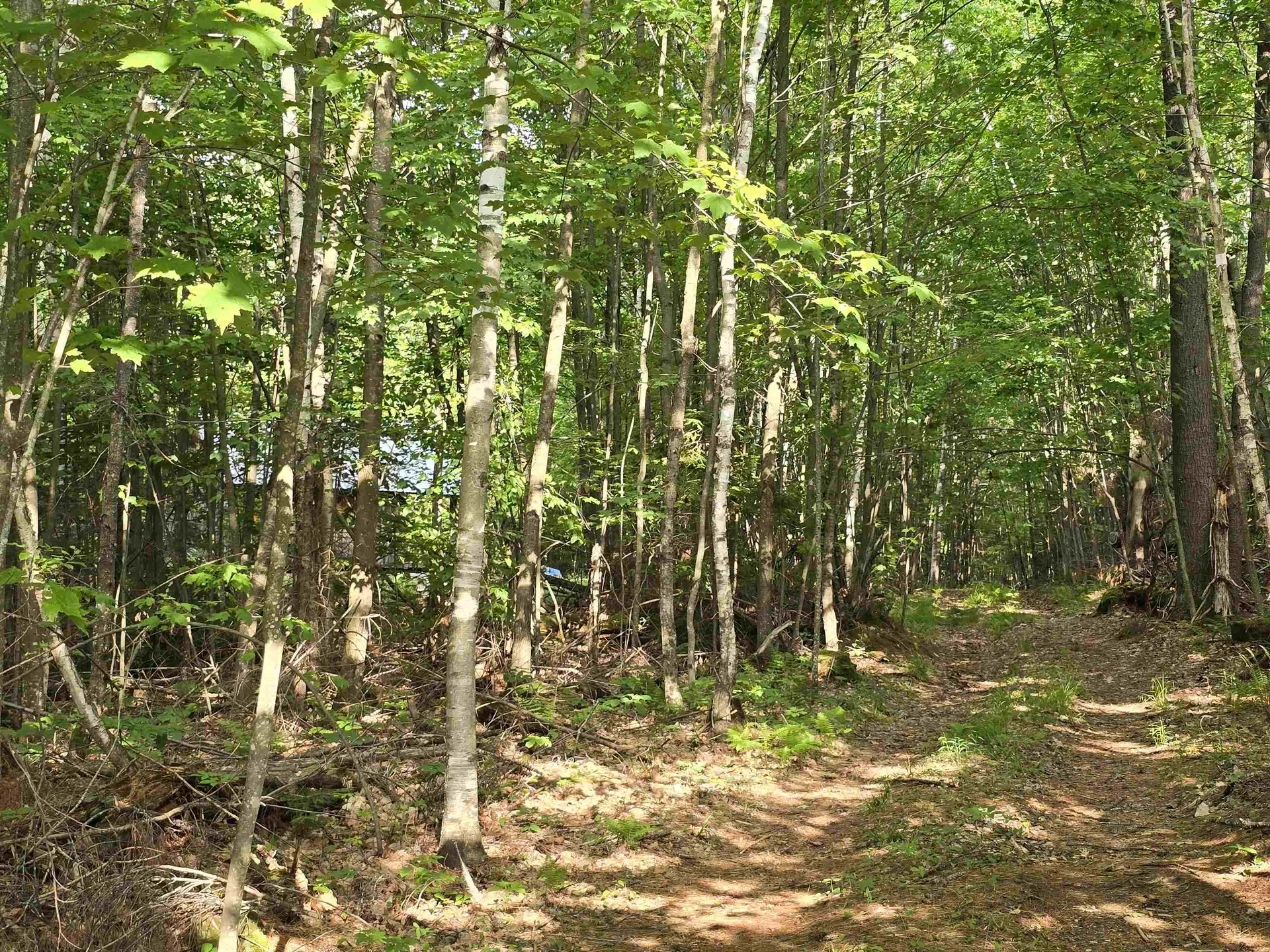 882 Morse Road Haverhill NH 03774