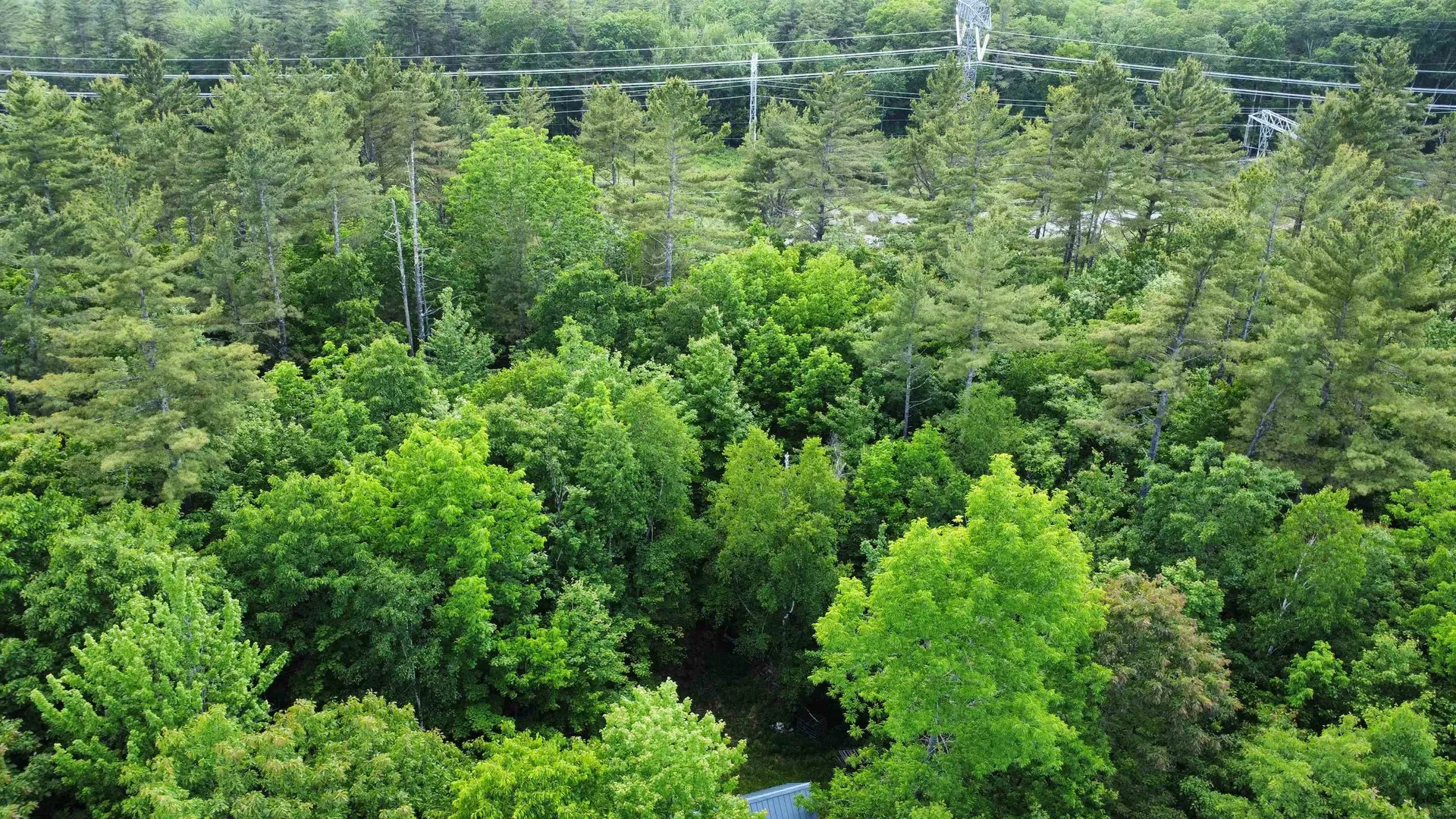 882 Morse Road Haverhill NH 03774