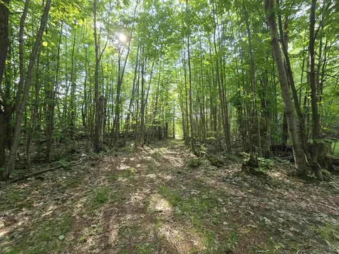 882 Morse Road Haverhill NH 03774