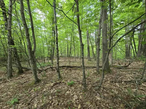 882 Morse Road Haverhill NH 03774