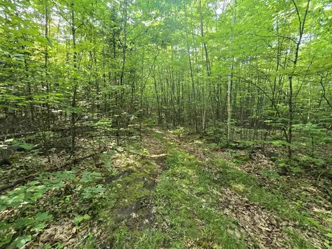 882 Morse Road Haverhill NH 03774