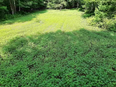 882 Morse Road Haverhill NH 03774