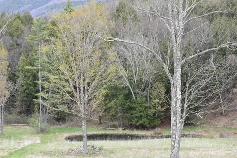3259 West Hill Road Wallingford VT 05773