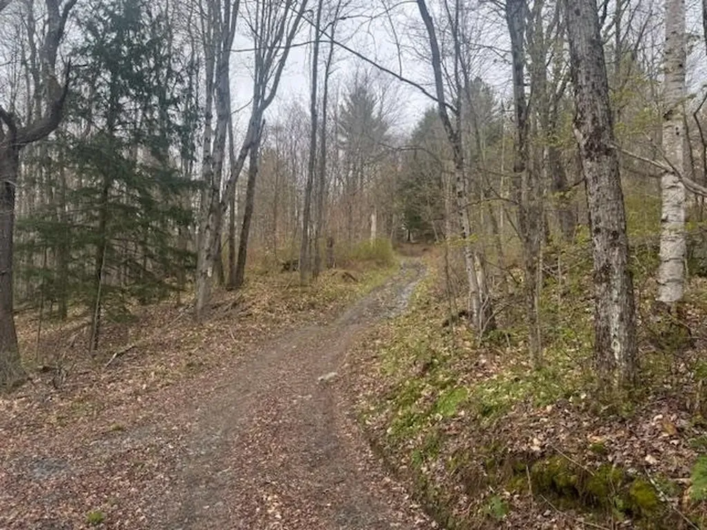 178 Moody Lane Northfield VT 05664
