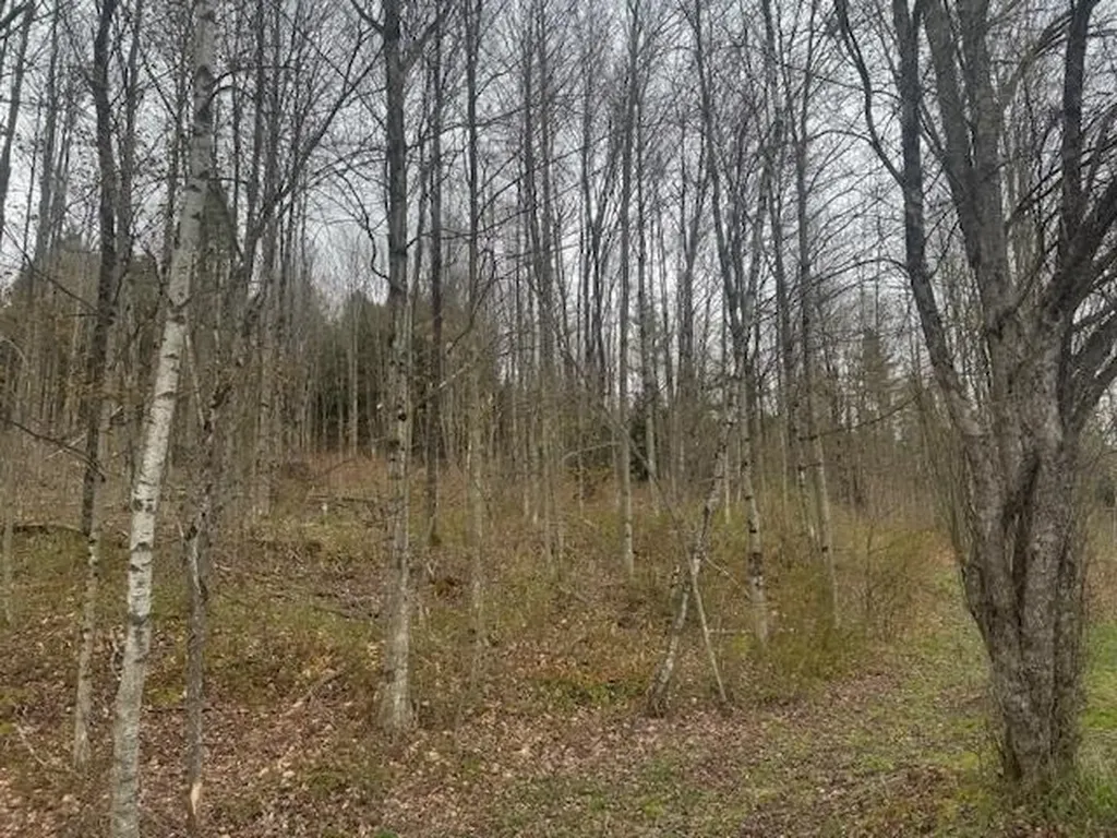 178 Moody Lane Northfield VT 05664