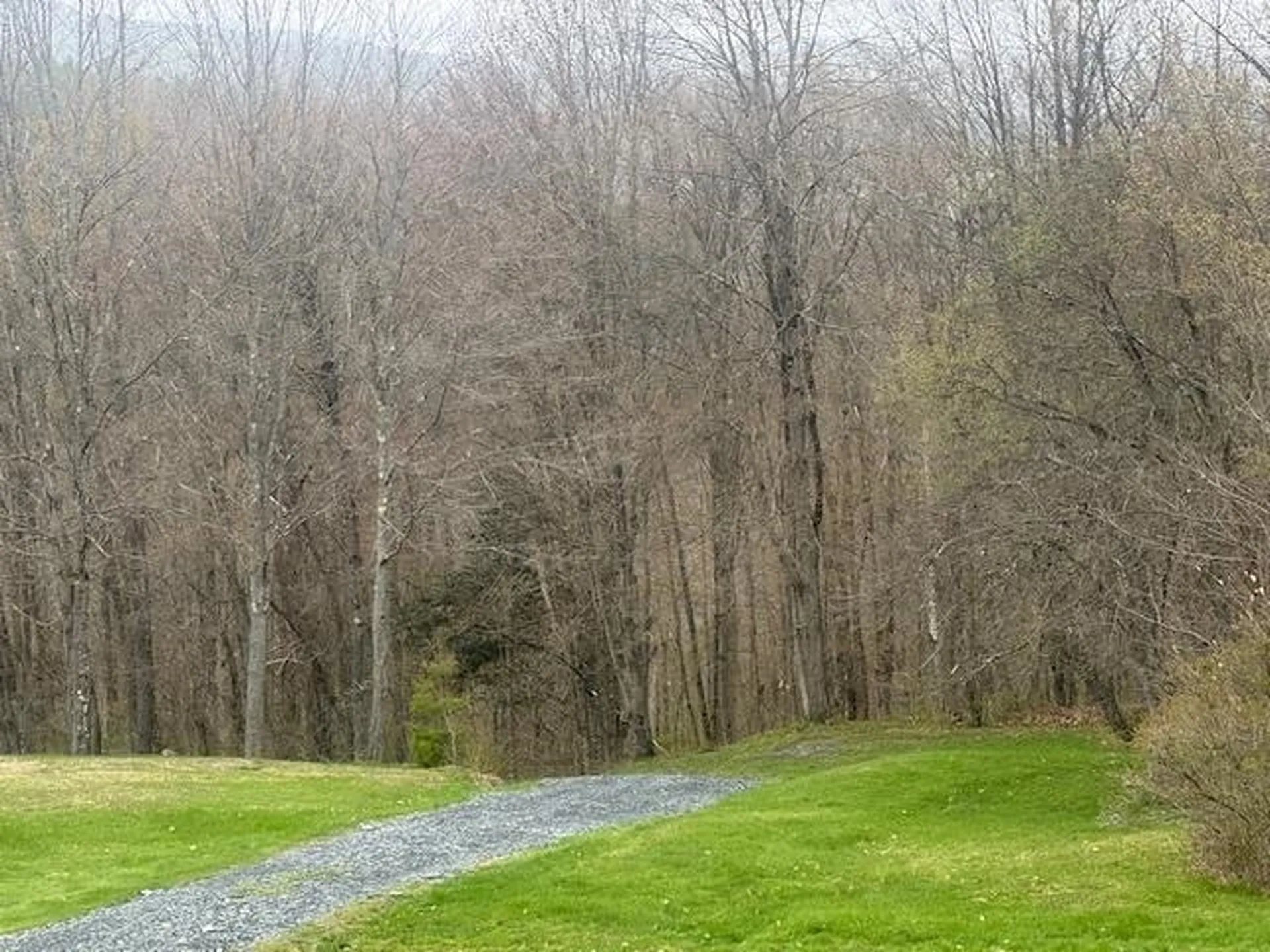 178 Moody Lane Northfield VT 05664
