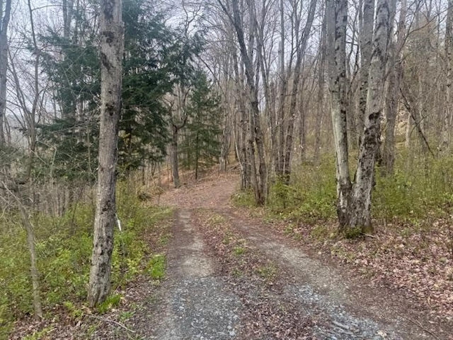 178 Moody Lane Northfield VT 05664