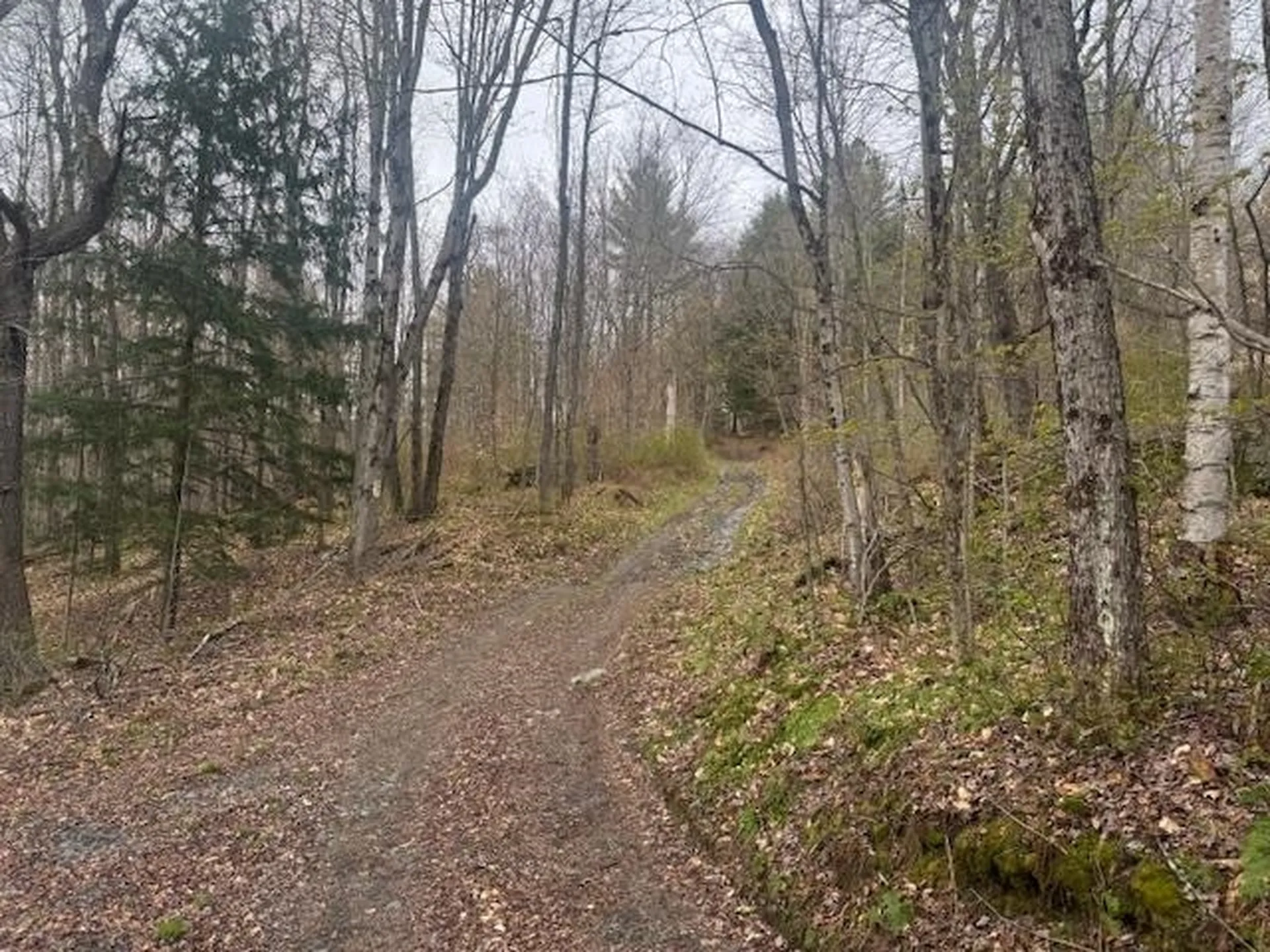 178 Moody Lane Northfield VT 05664