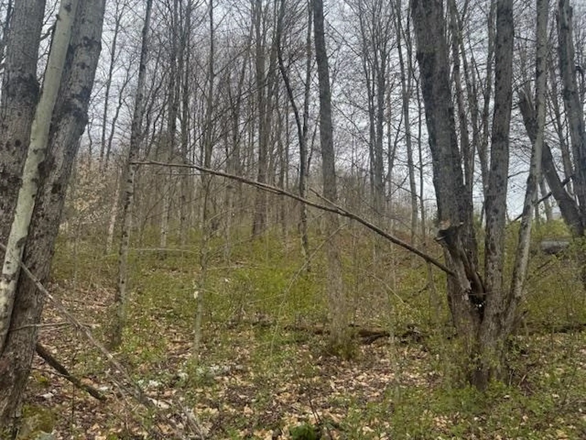 178 Moody Lane Northfield VT 05664