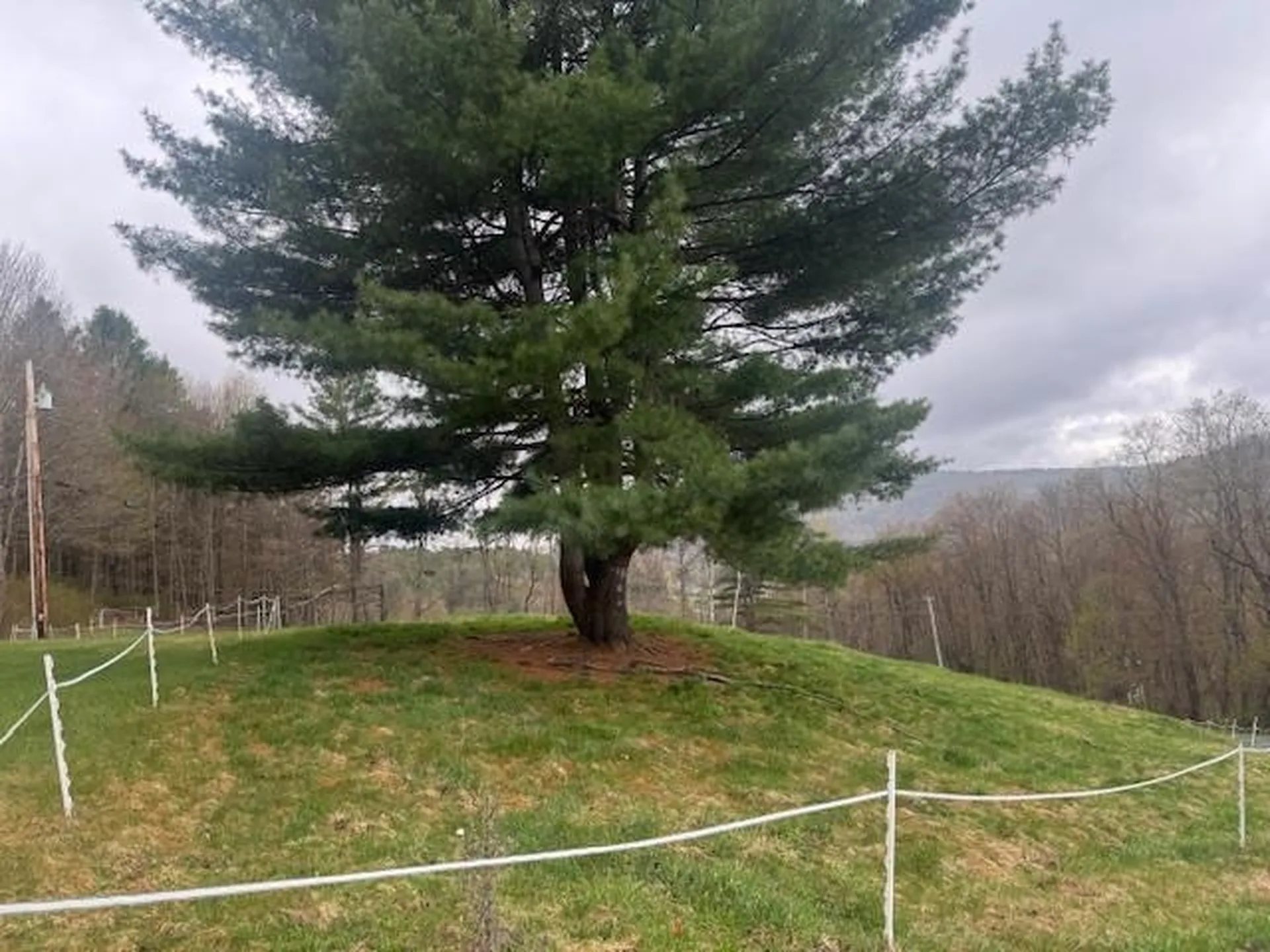 178 Moody Lane Northfield VT 05664
