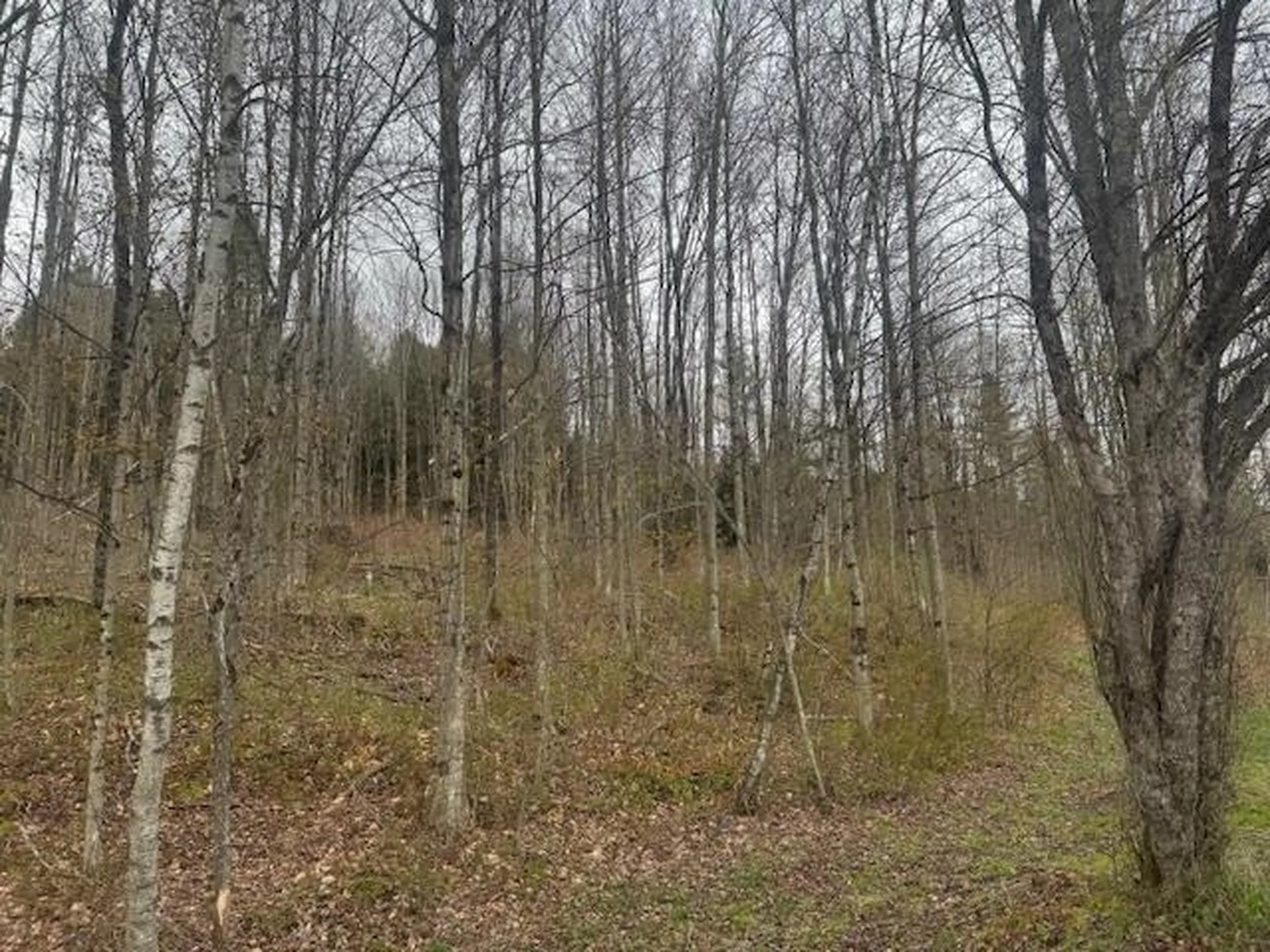 178 Moody Lane Northfield VT 05664