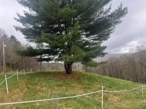 178 Moody Lane Northfield VT 05664