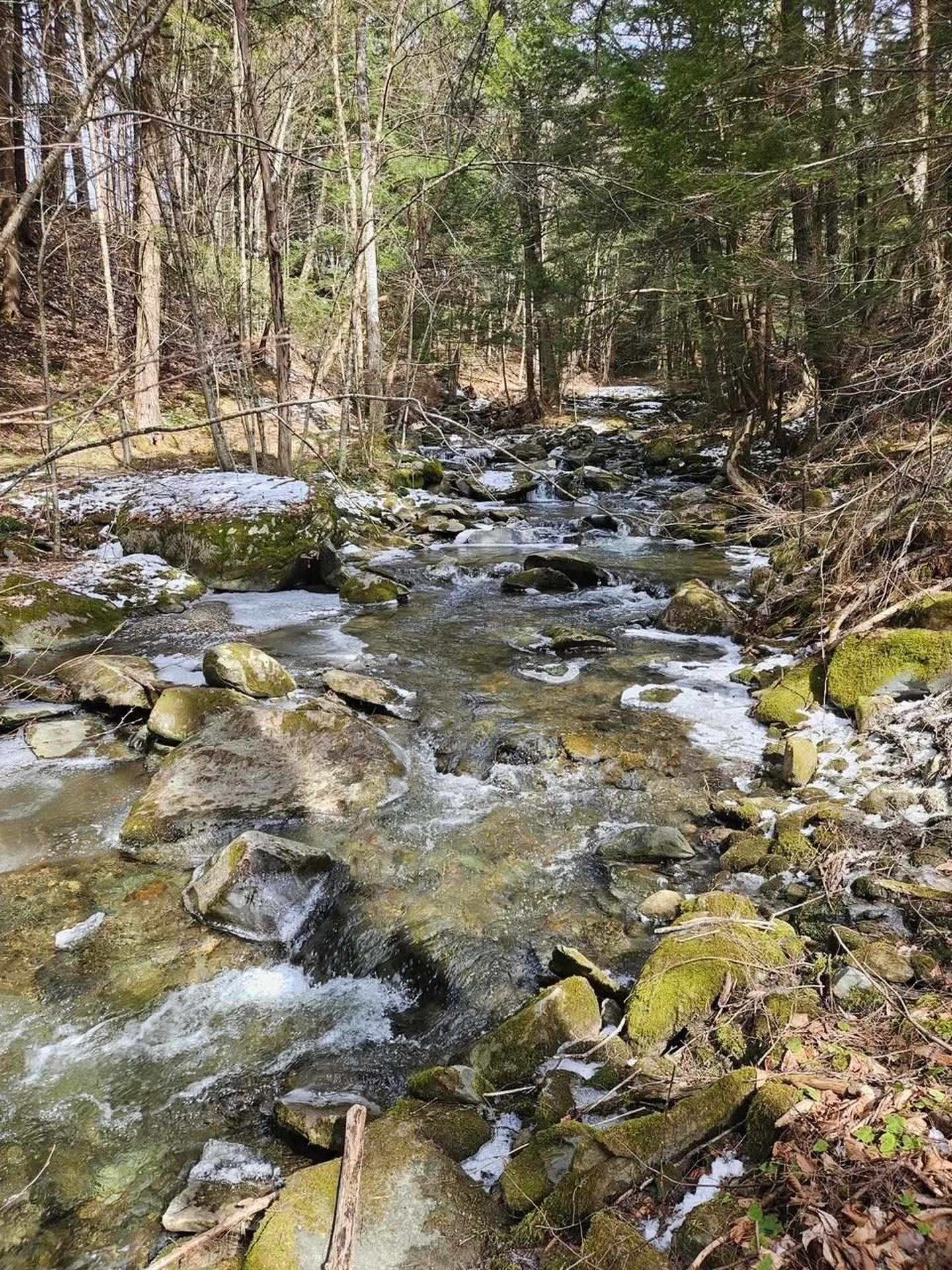 1100 Vt Route 15 Westford VT 05494