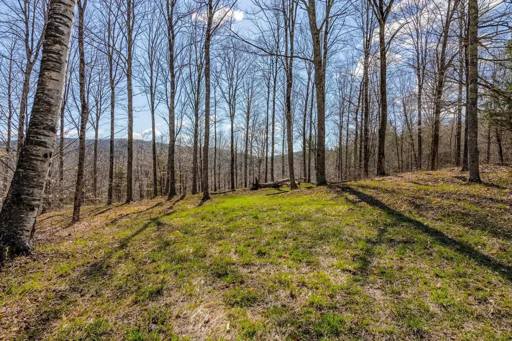 334 Log Cabin Drive Pomfret VT 05067