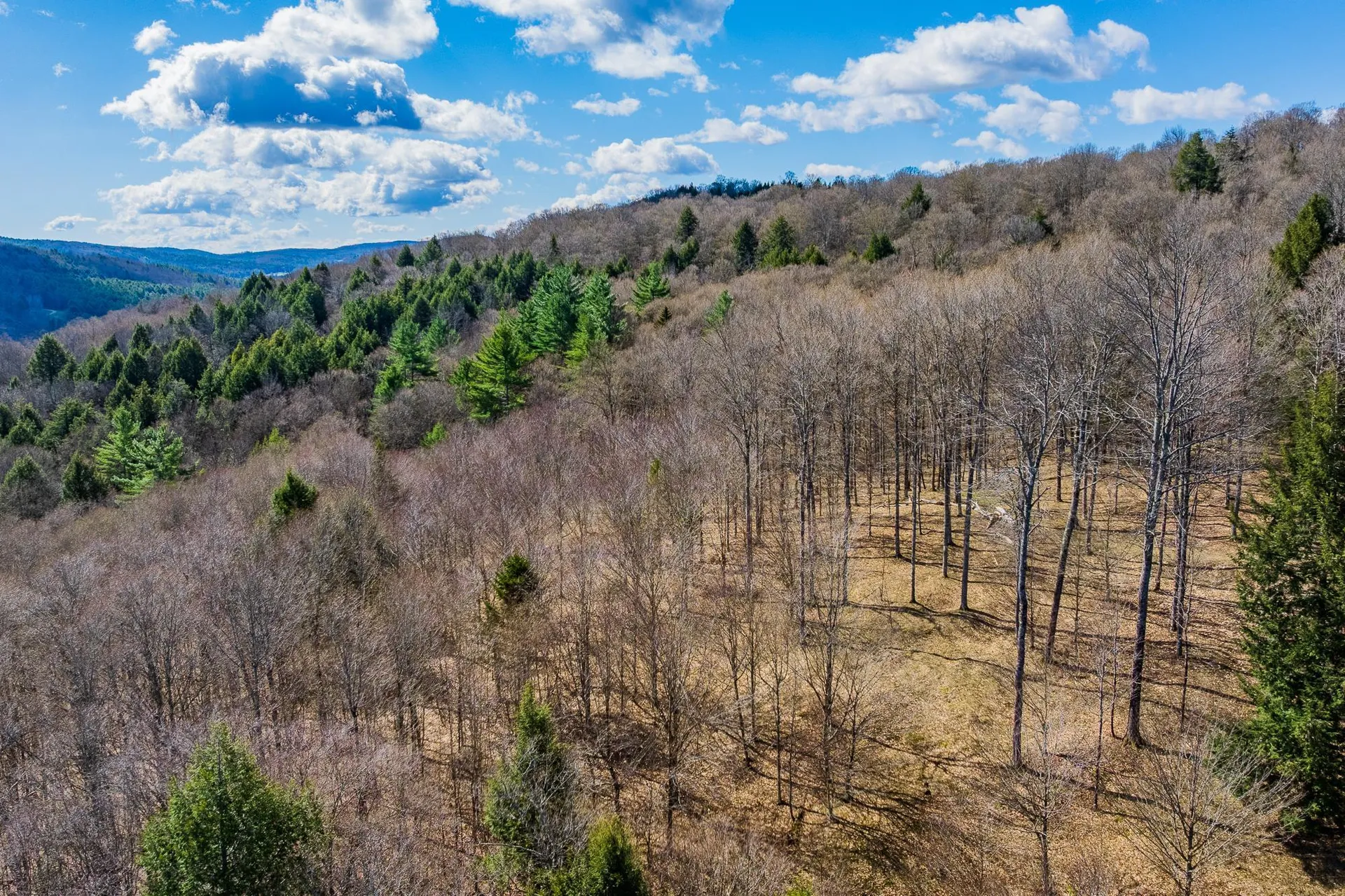 334 Log Cabin Drive Pomfret VT 05067
