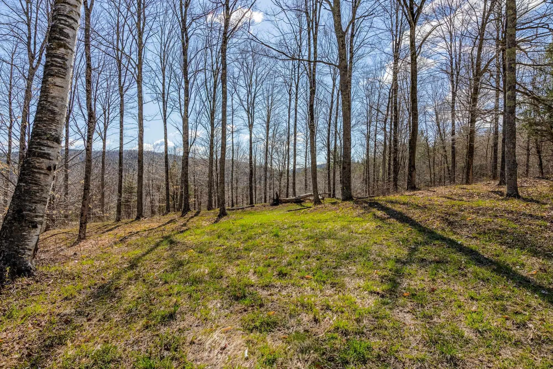 334 Log Cabin Drive Pomfret VT 05067
