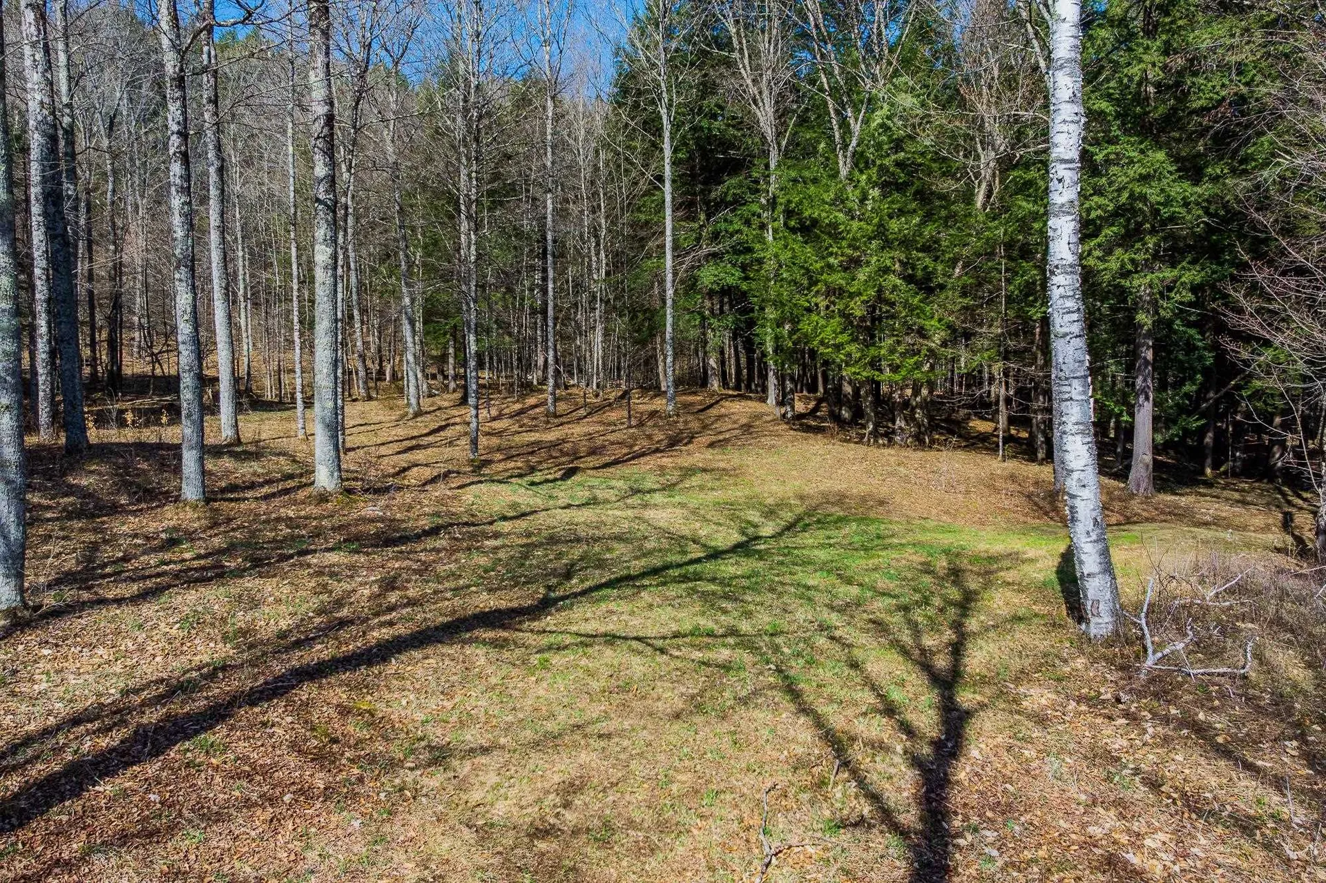 334 Log Cabin Drive Pomfret VT 05067