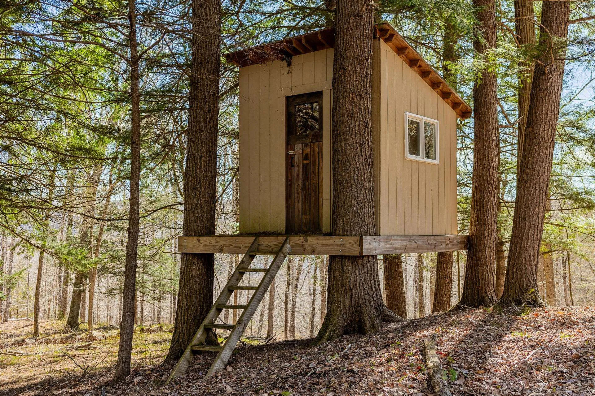 334 Log Cabin Drive Pomfret VT 05067