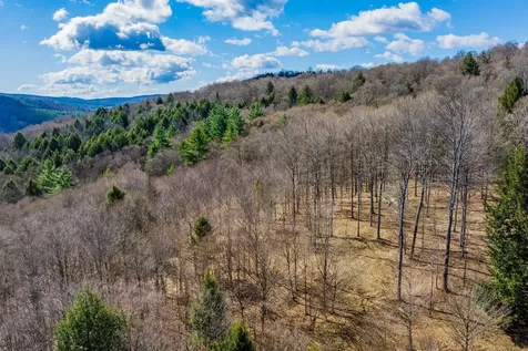 334 Log Cabin Drive Pomfret VT 05067