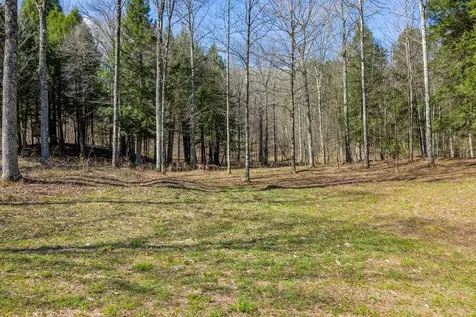 334 Log Cabin Drive Pomfret VT 05067