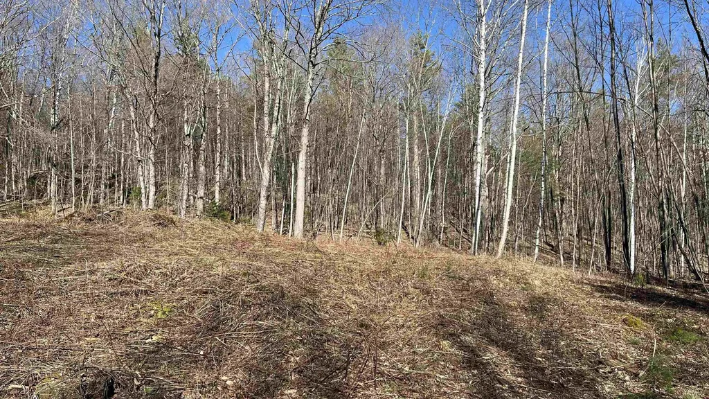 Dix Hill Road Plymouth VT 05056