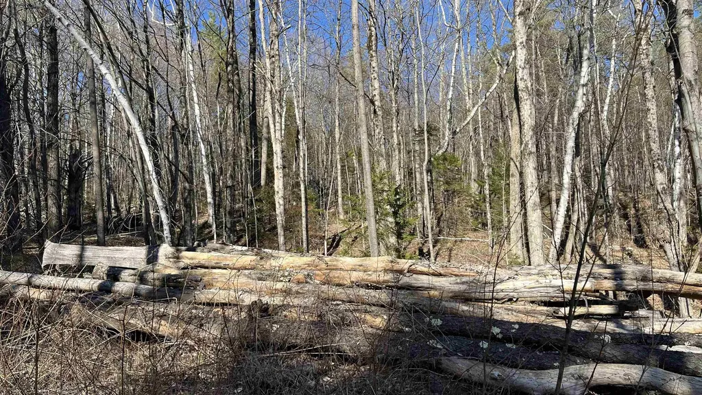 Dix Hill Road Plymouth VT 05056