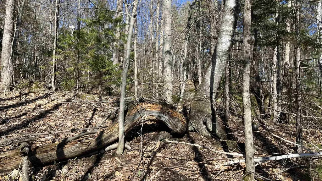 Dix Hill Road Plymouth VT 05056