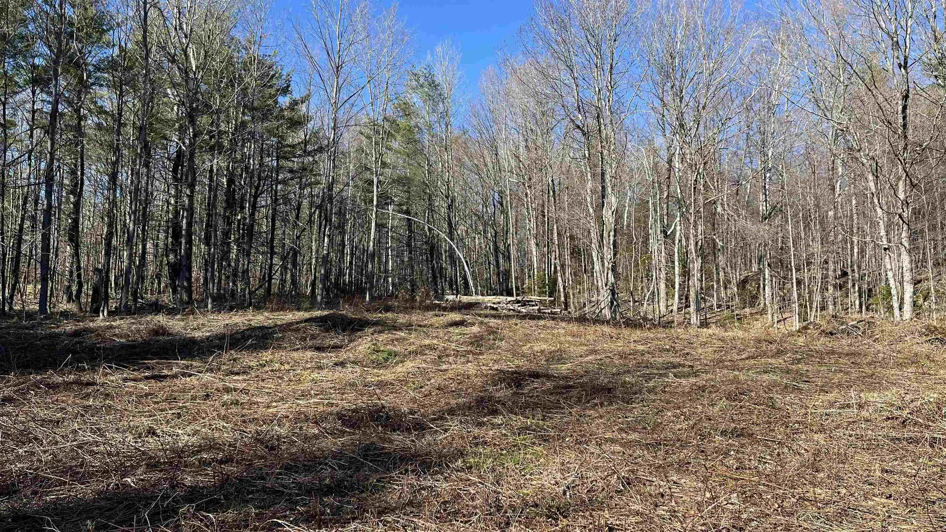 Dix Hill Road Plymouth VT 05056