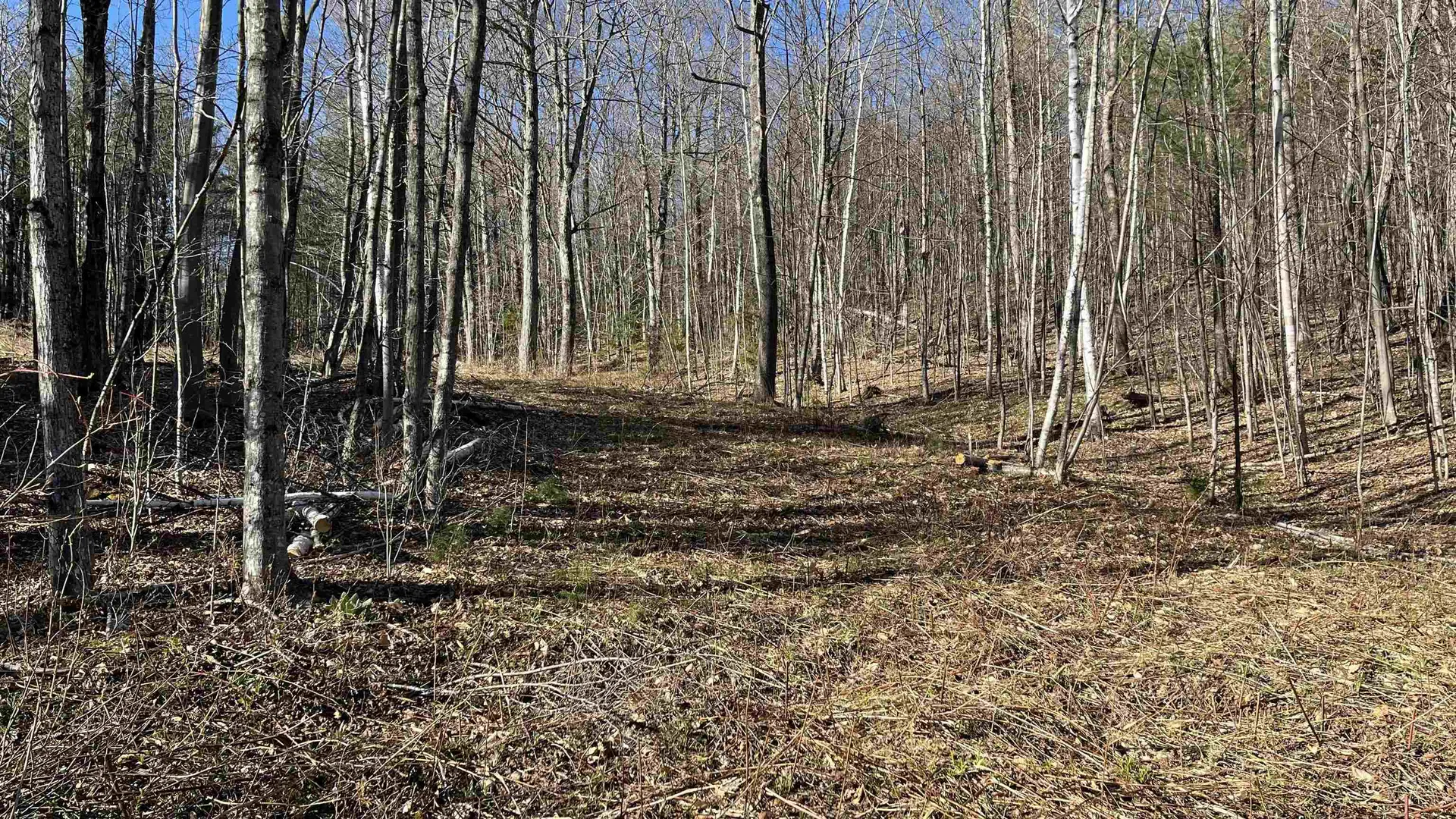 Dix Hill Road Plymouth VT 05056