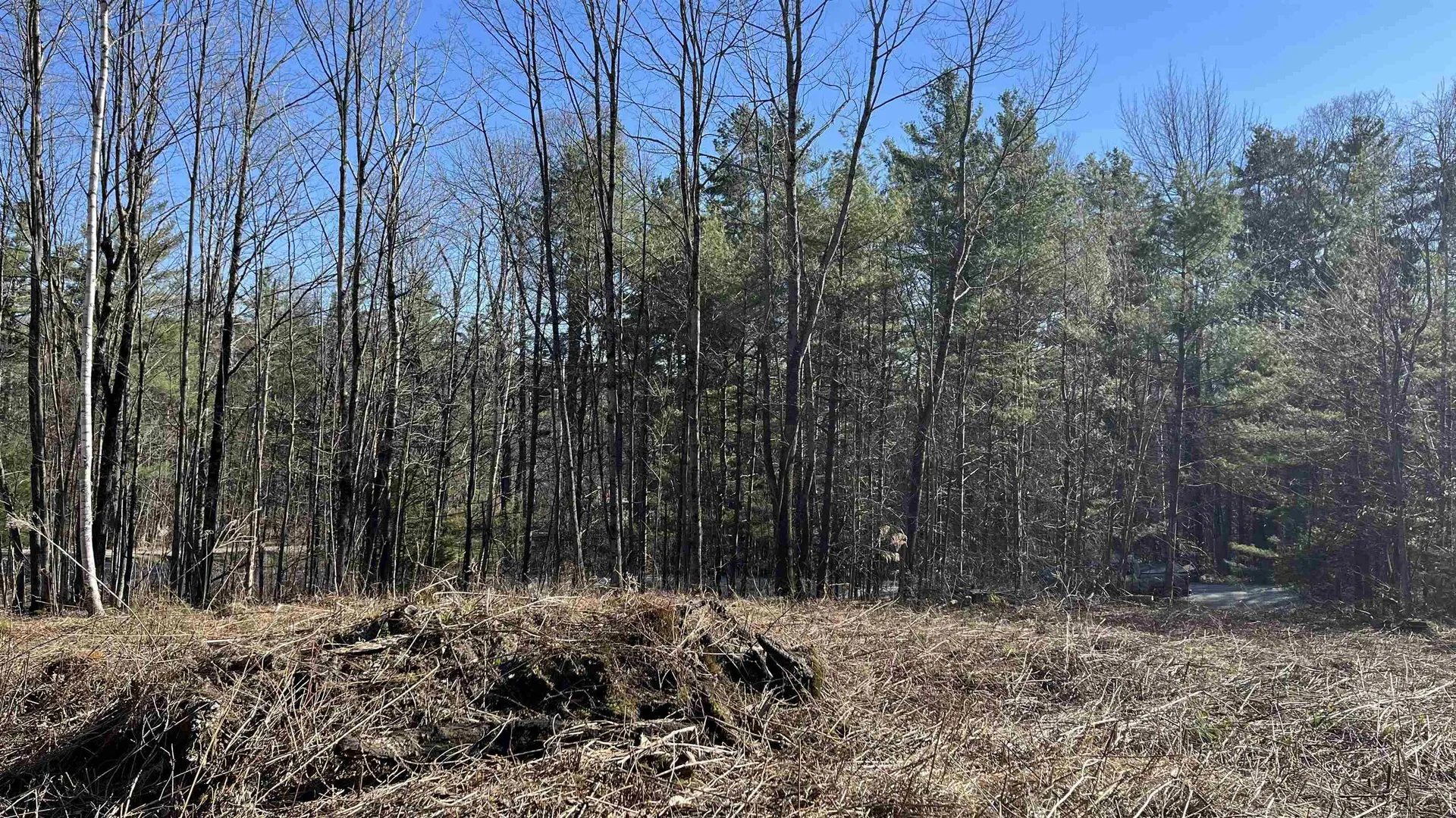 Dix Hill Road Plymouth VT 05056
