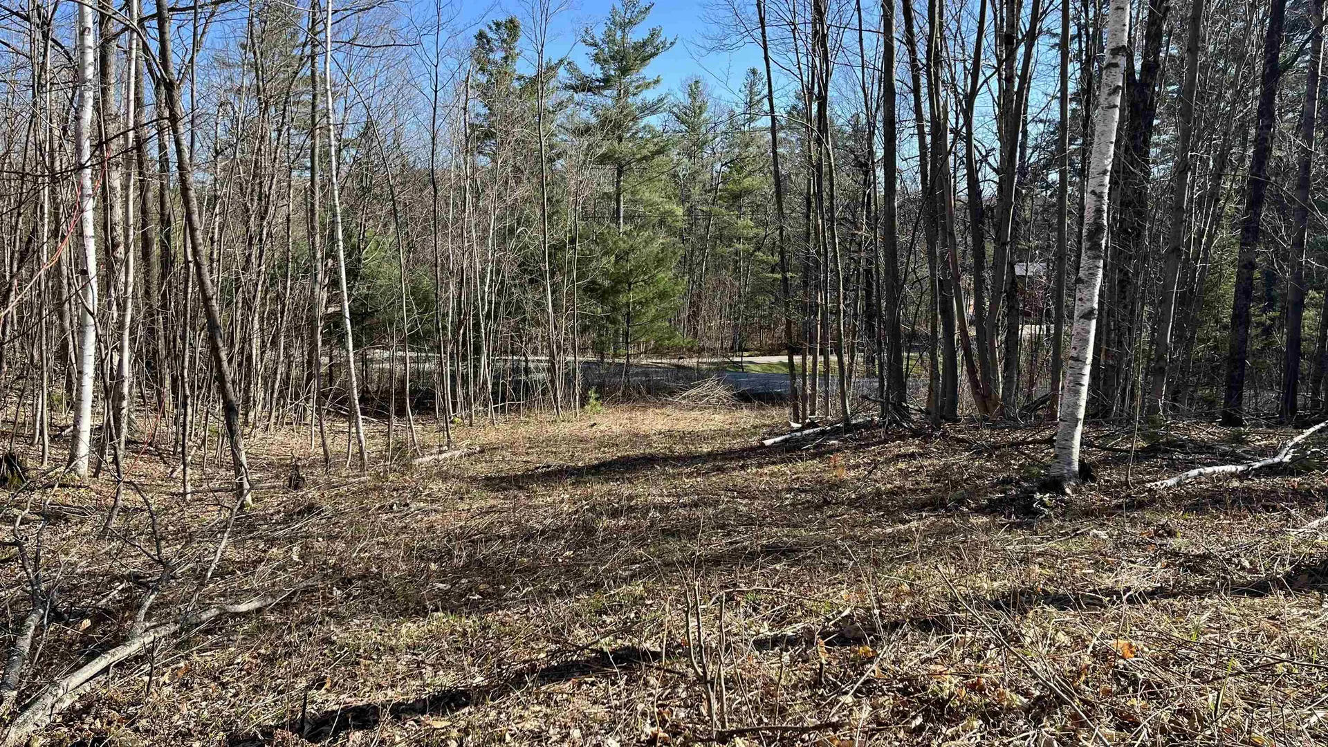 Dix Hill Road Plymouth VT 05056