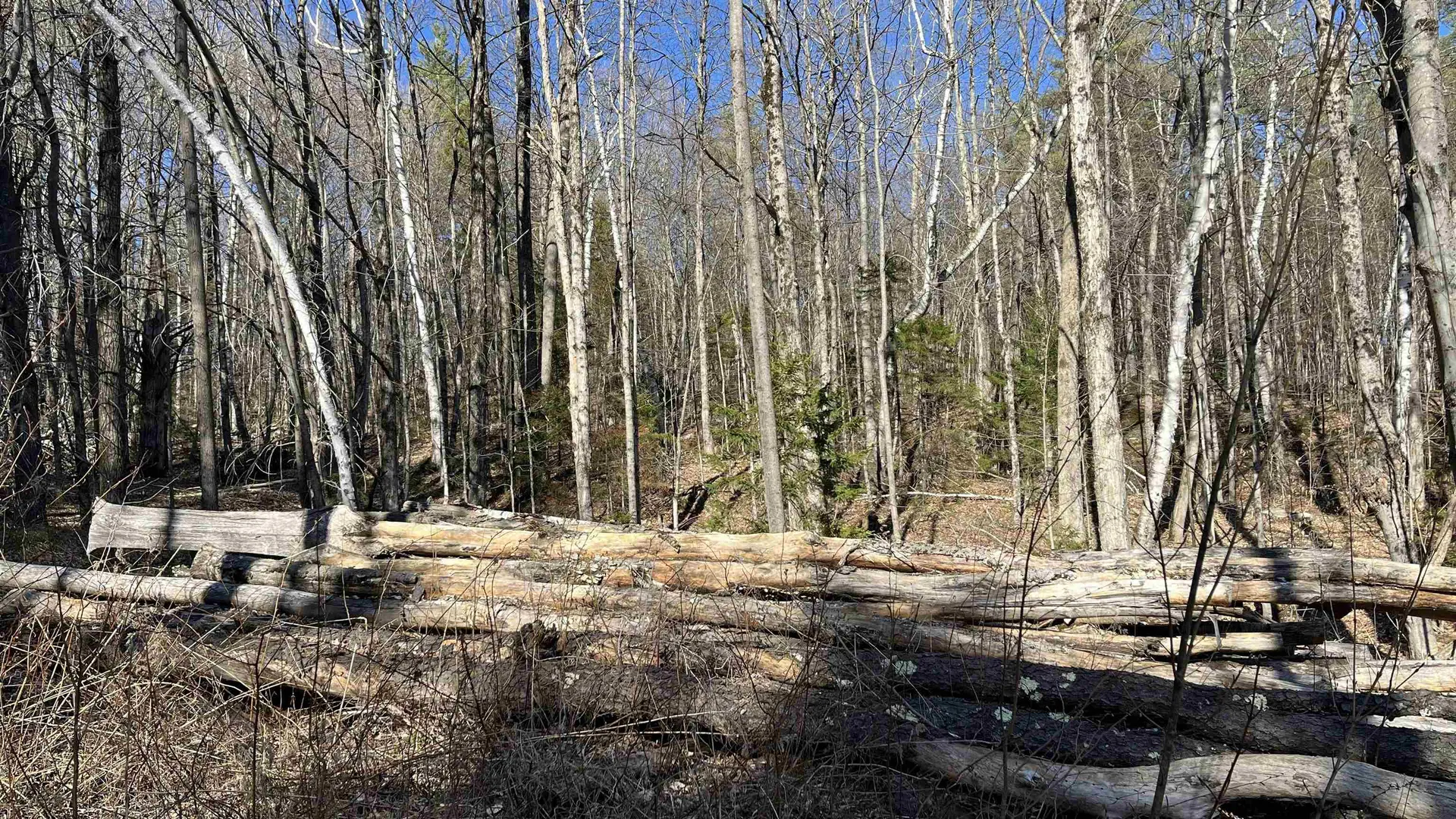 Dix Hill Road Plymouth VT 05056