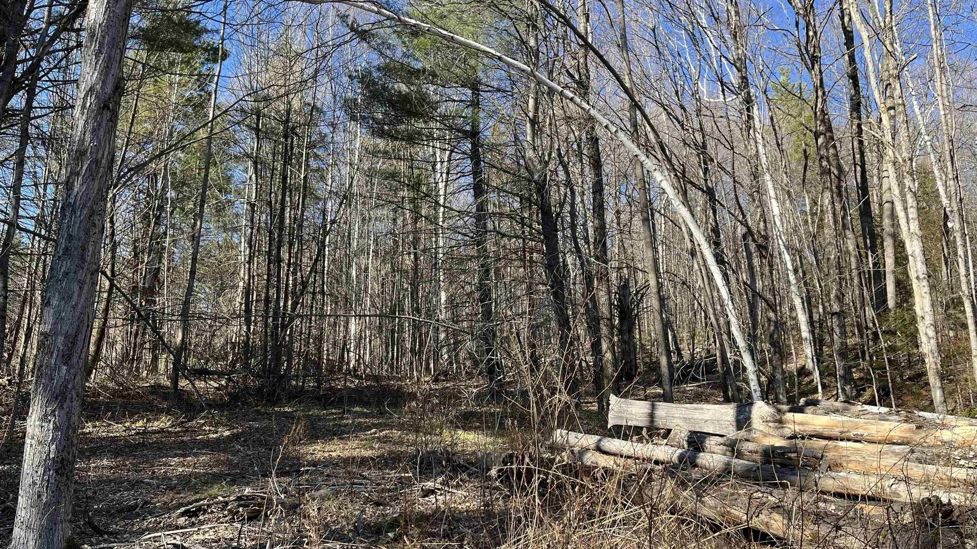 Dix Hill Road Plymouth VT 05056