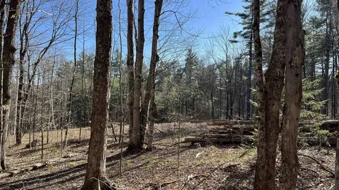 Dix Hill Road Plymouth VT 05056