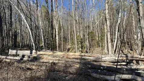 Dix Hill Road Plymouth VT 05056