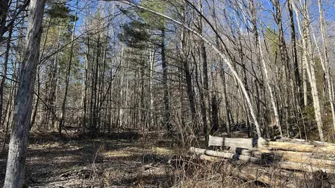 Dix Hill Road Plymouth VT 05056