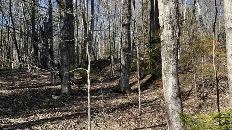Dix Hill Road Plymouth VT 05056