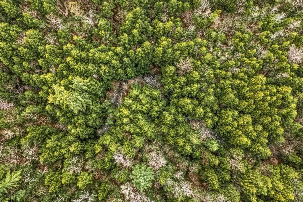 0 Birdseye Road Castleton VT 05735