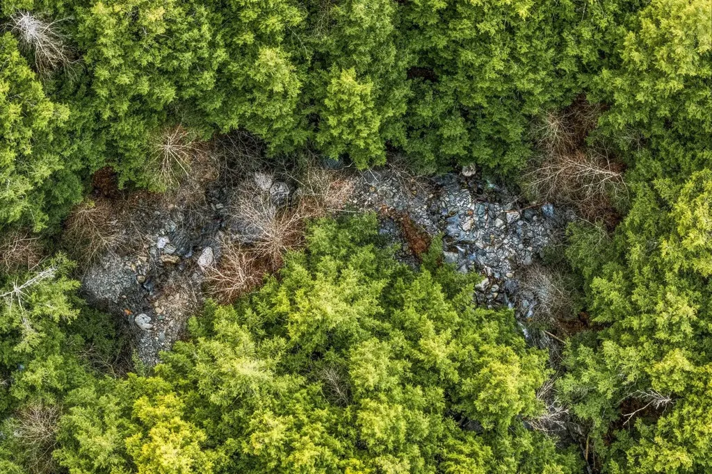 0 Birdseye Road Castleton VT 05735